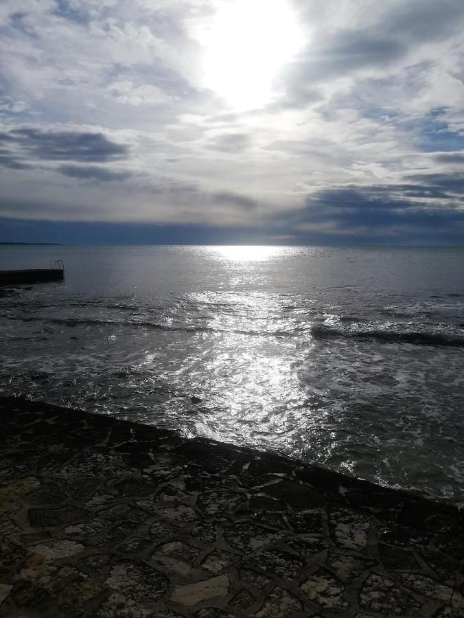 Apartment Jana Novigrad  ภายนอก รูปภาพ